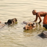 La vida en el Ganges