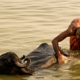 La vida en el Ganges