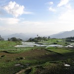 Vista general de los arrozales de Batutumonga (Tana Toraja)